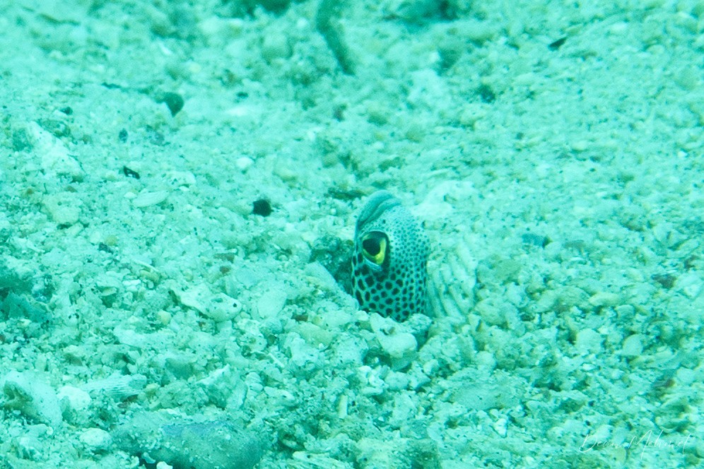 IMG_2438.jpg