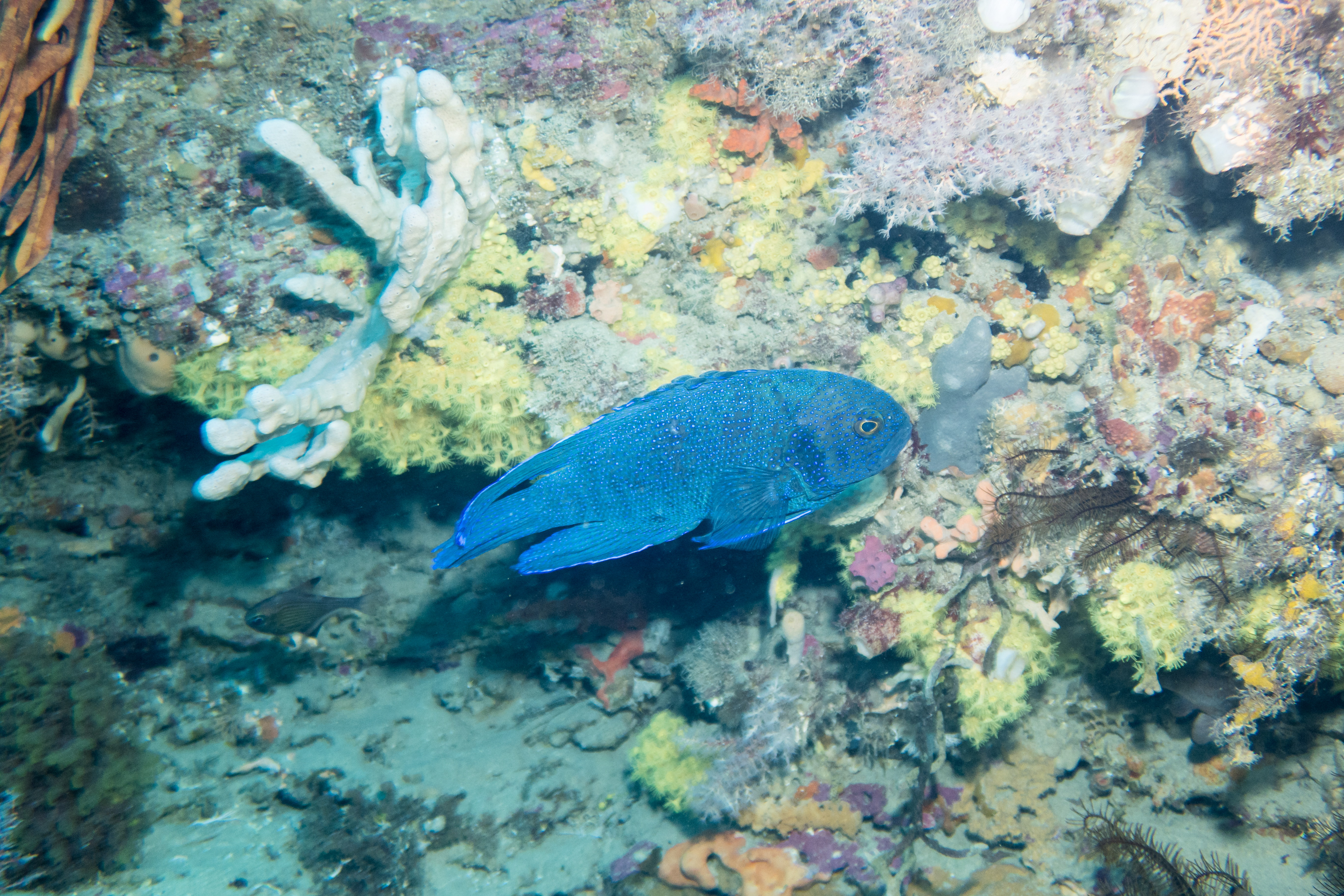 IMG_6610.jpg