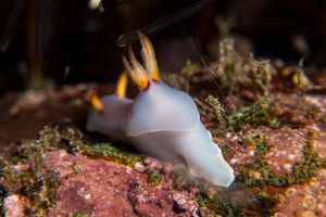 IMG_7281.jpg