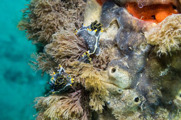 Hedgpeths Dorid - Photo 4