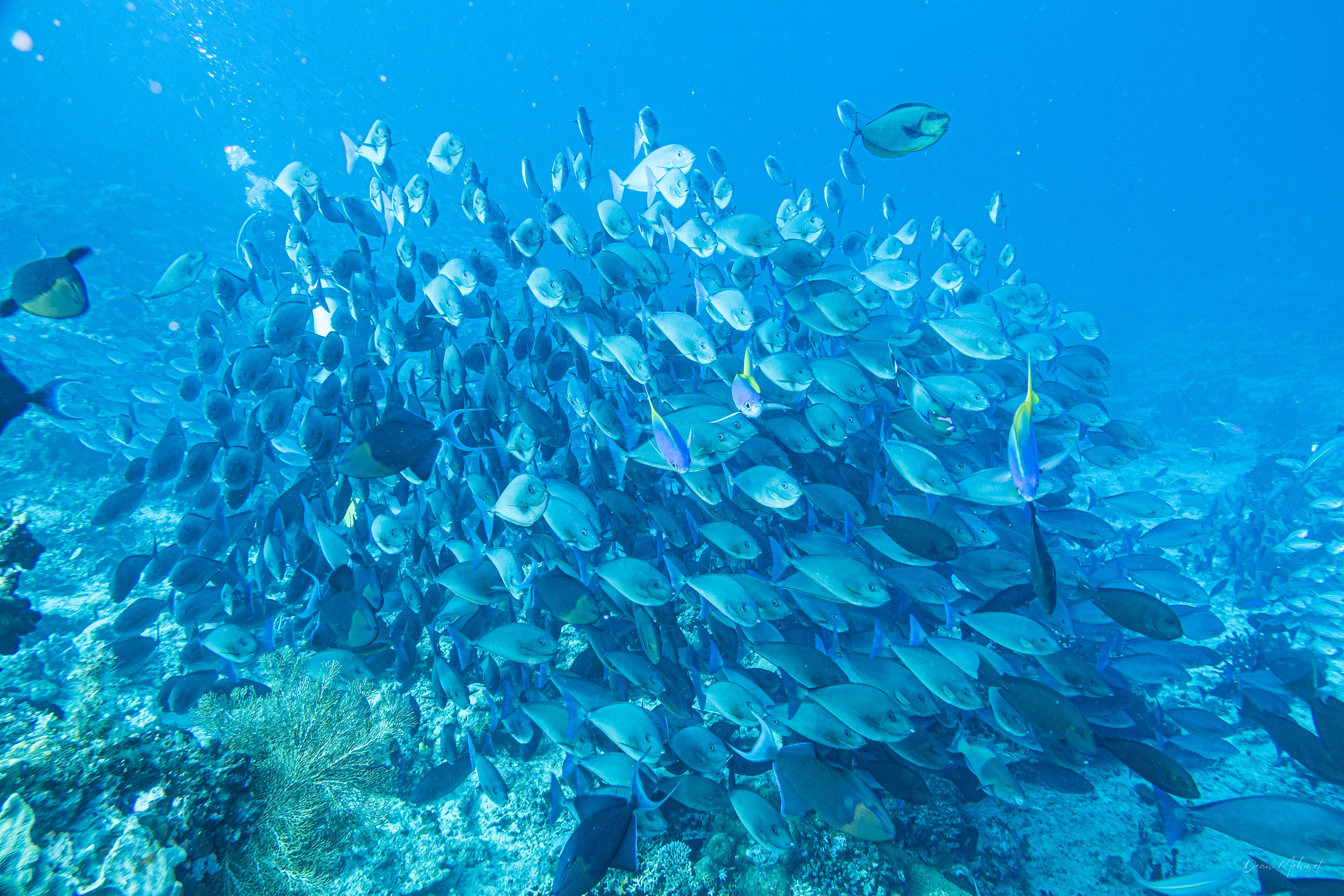 IMG_0806.jpg