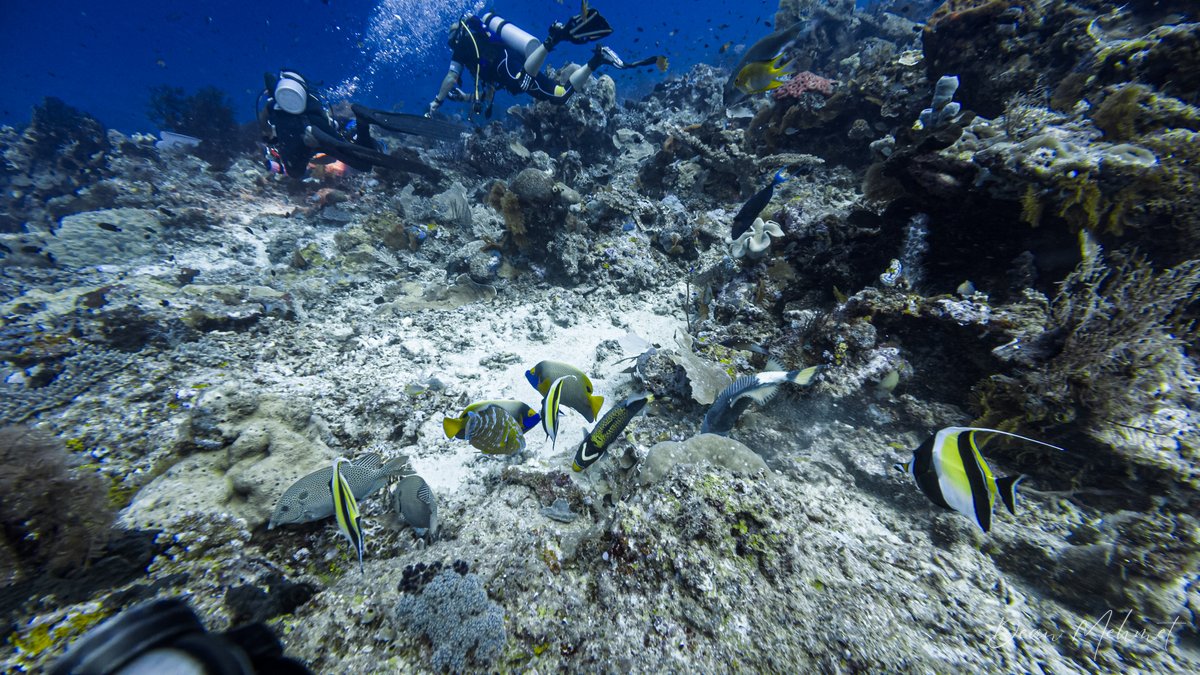 Raja Ampat hero image