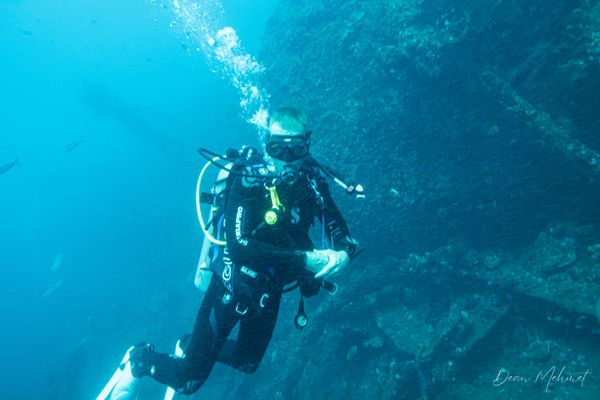 USAT Liberty Wreck encounter 16