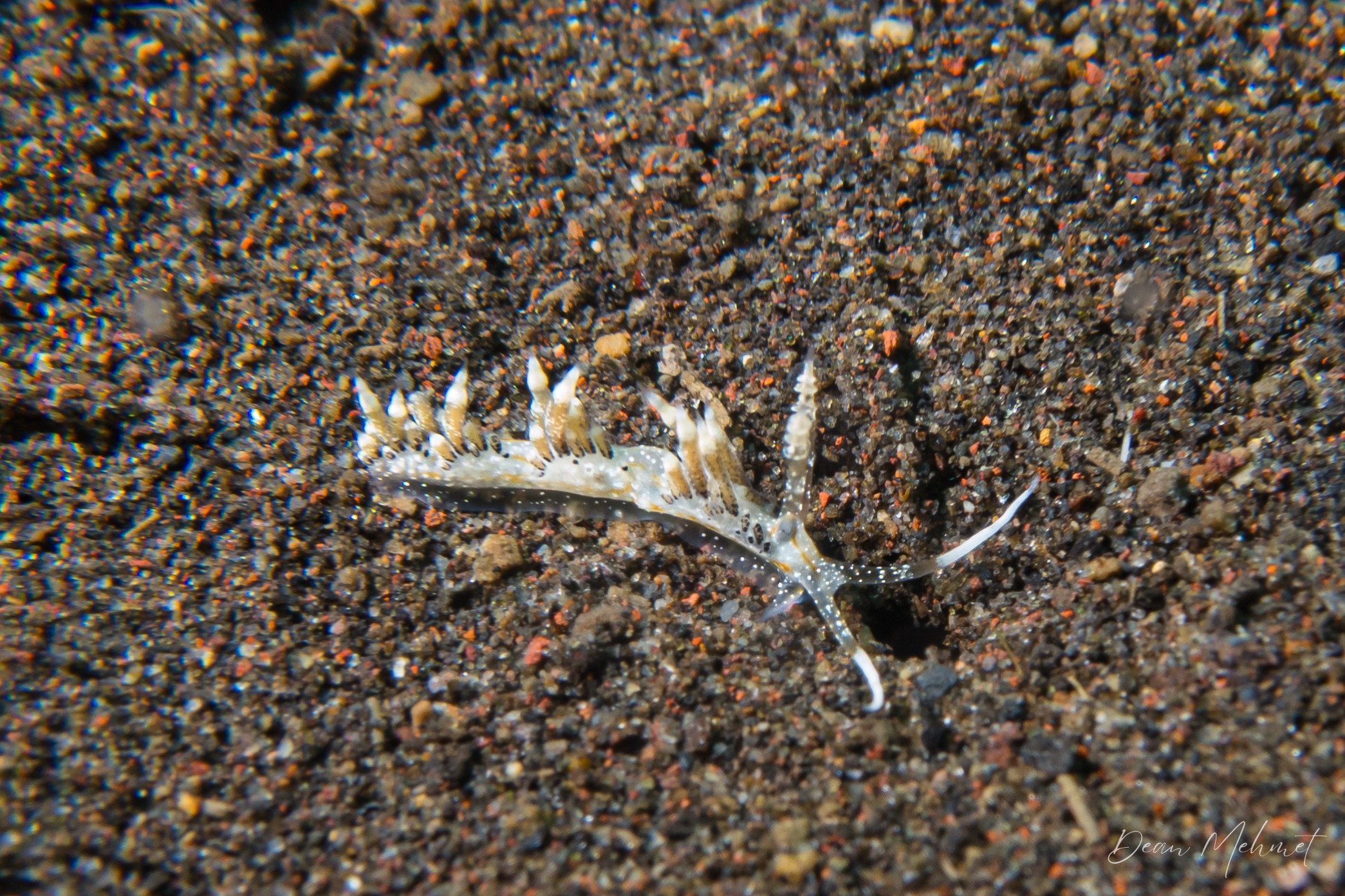 IMG_5923.jpg