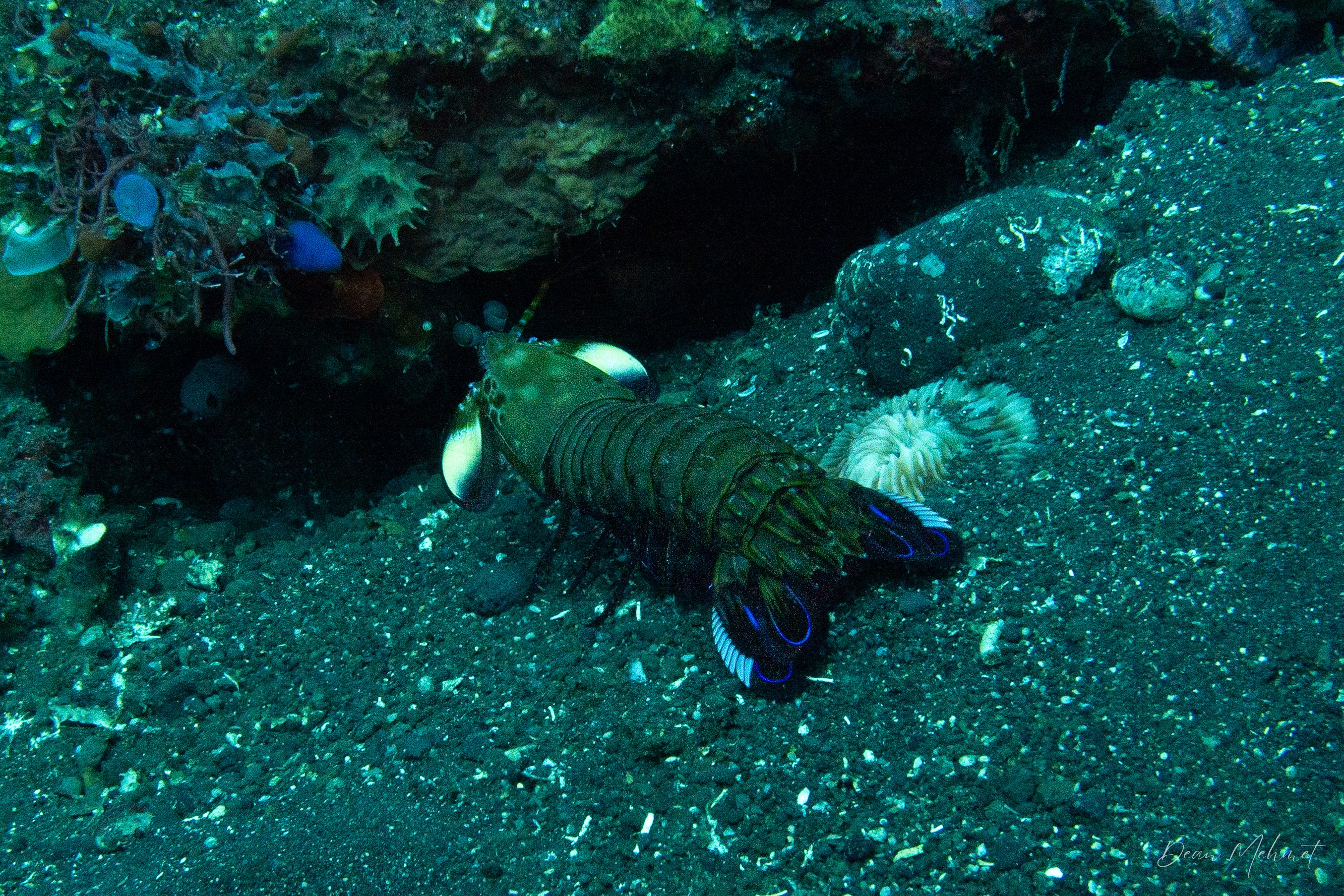 IMG_6318.jpg