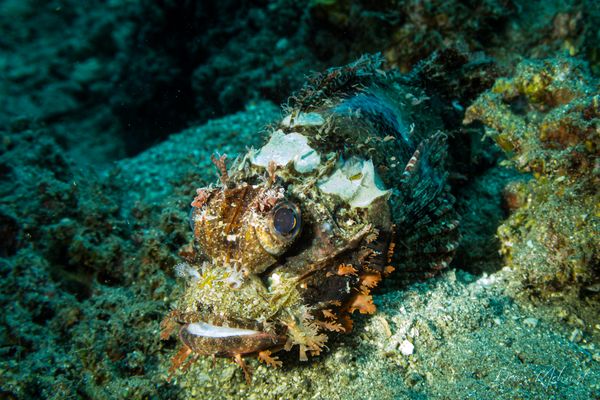 Malatapay encounter 56