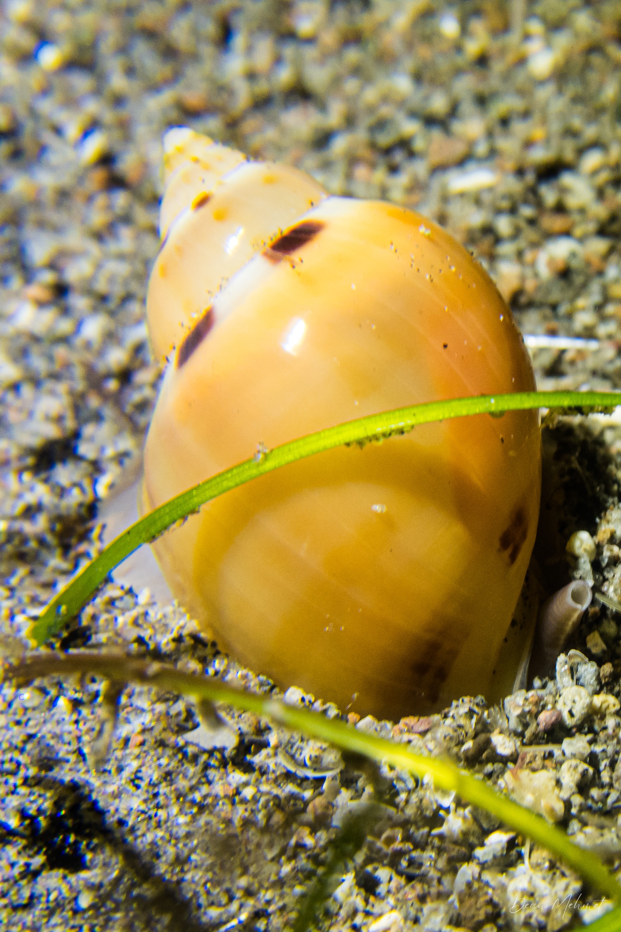 IMG_5087.jpg