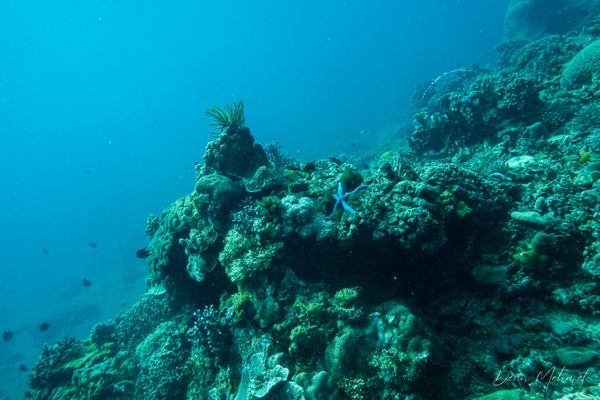 Coconut Point encounter 11