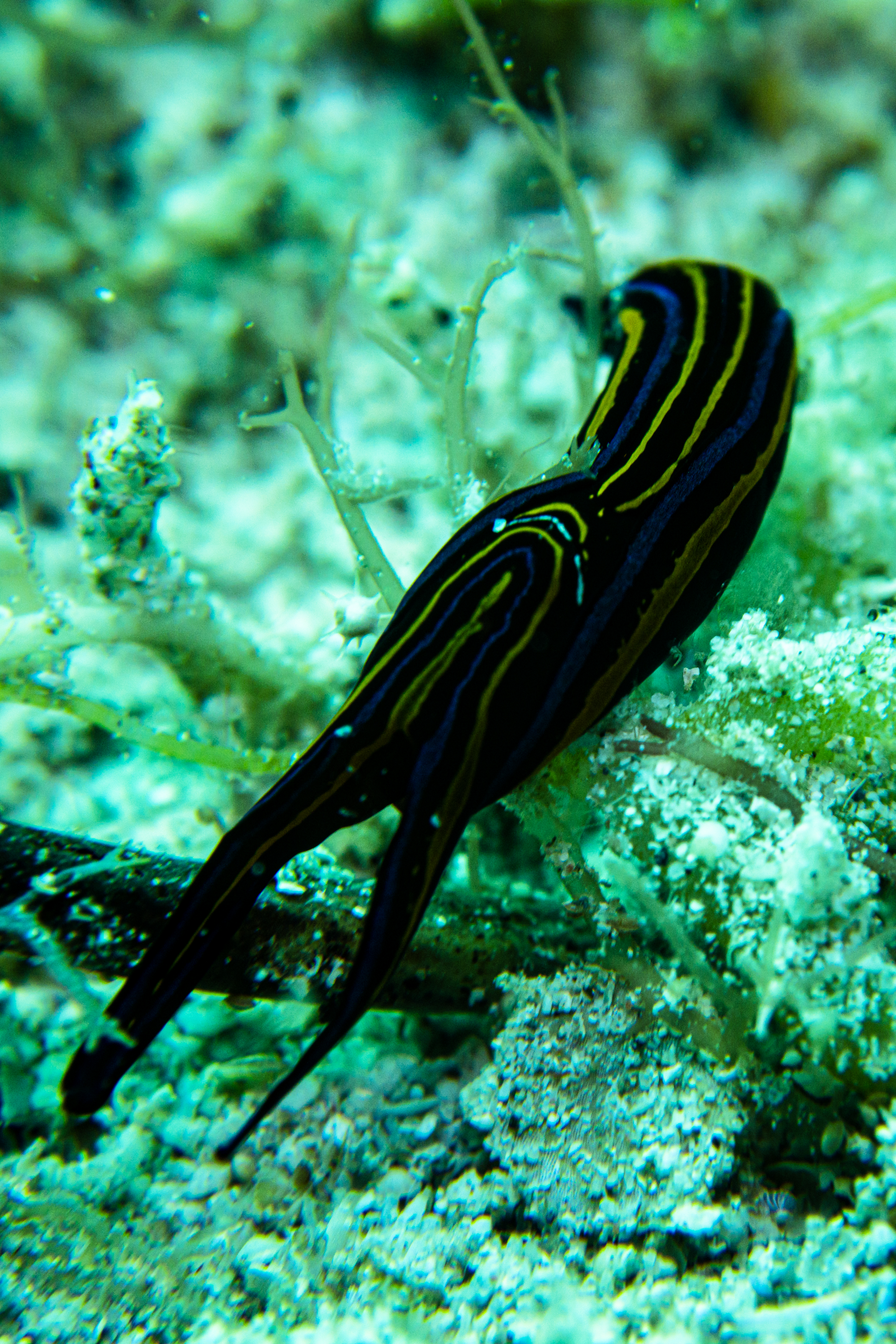 IMG_9253.jpg