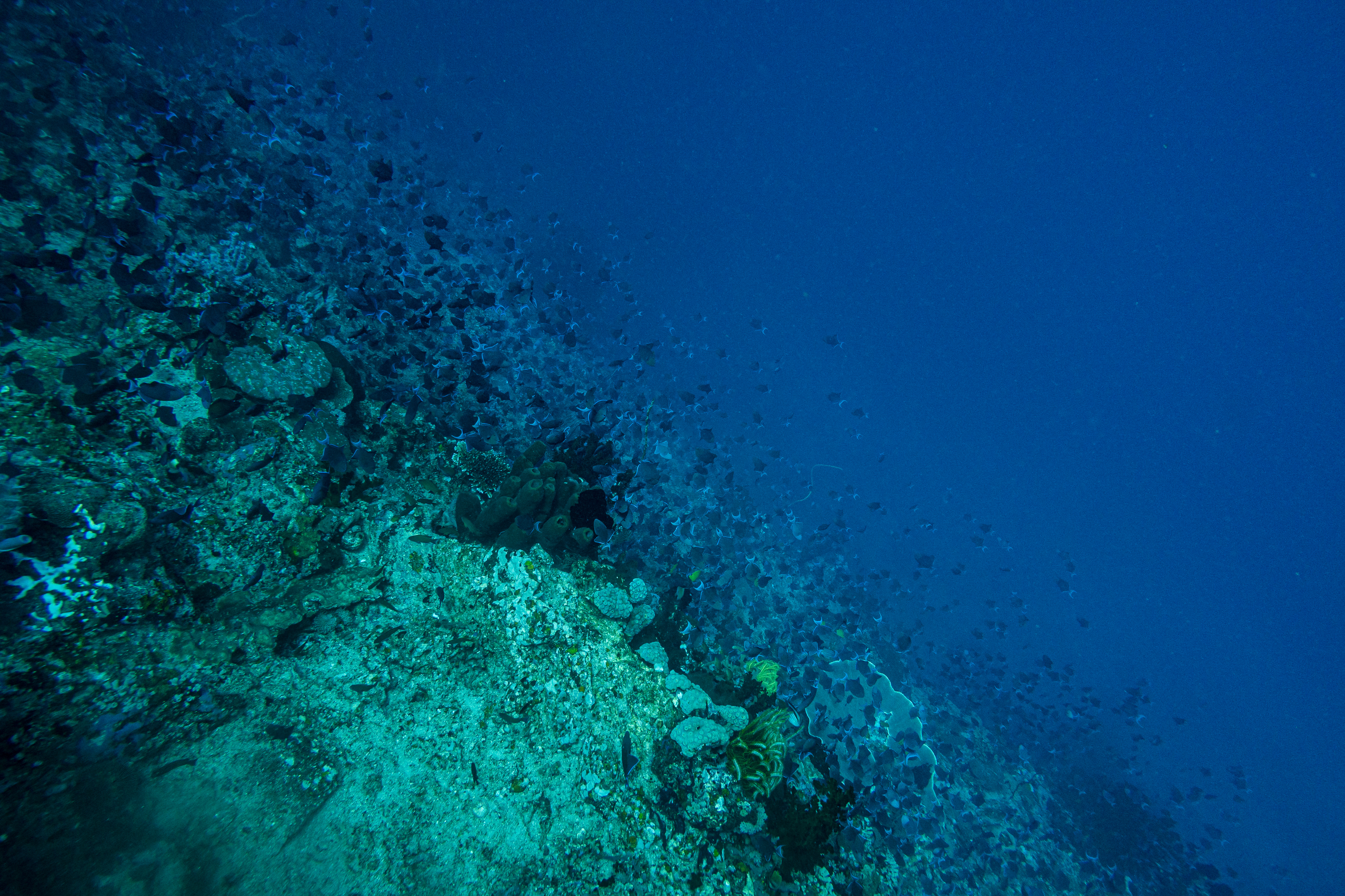 IMG_1162.jpg