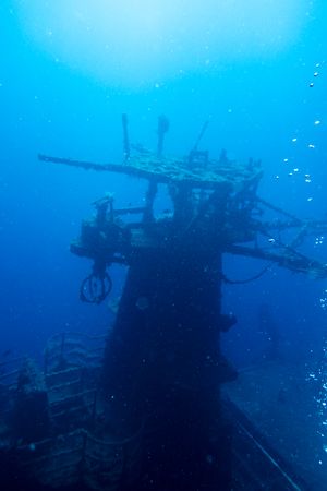 Giant Barrel Sponge