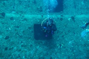 Giant Barrel Sponge