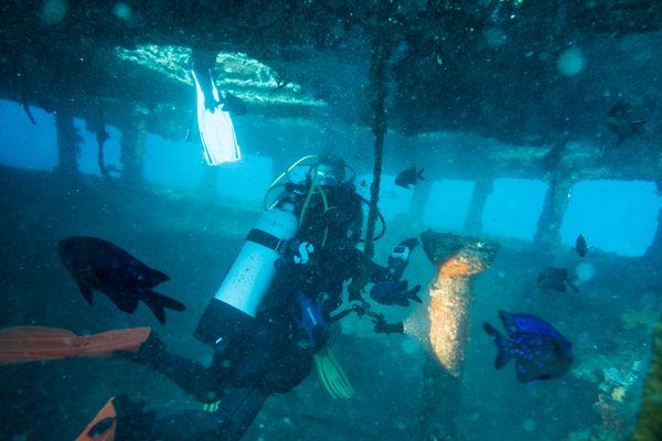 HMAS Swan encounter 33