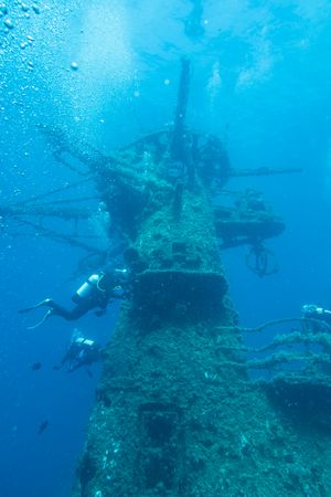 Giant Barrel Sponge