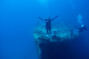 Giant Barrel Sponge