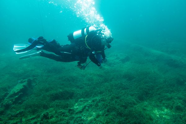 Busselton Jetty encounter 34